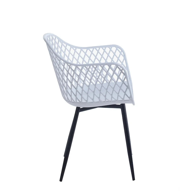 Hard Plastic Dining Chairs w/ Iron Legs (Set of 2)